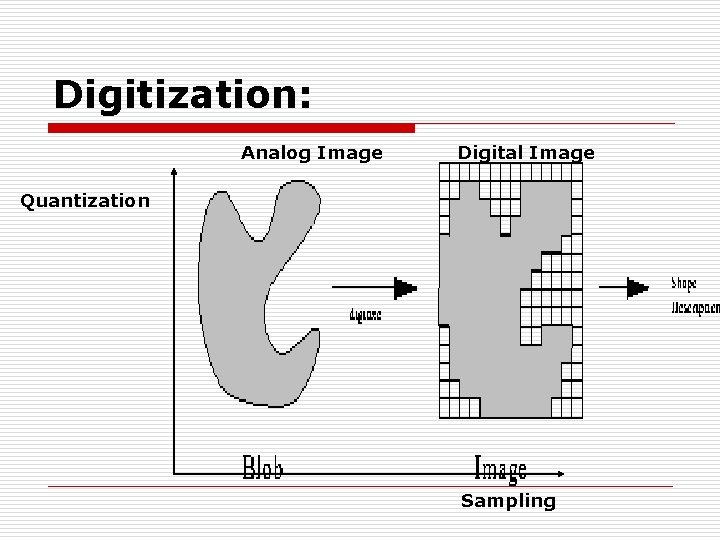 Digitization: Analog Image Digital Image Quantization Sampling 