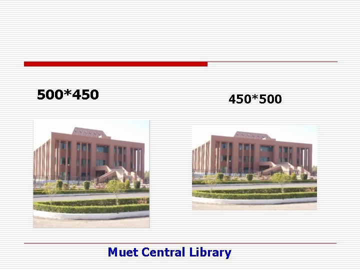 500*450 450*500 Muet Central Library 