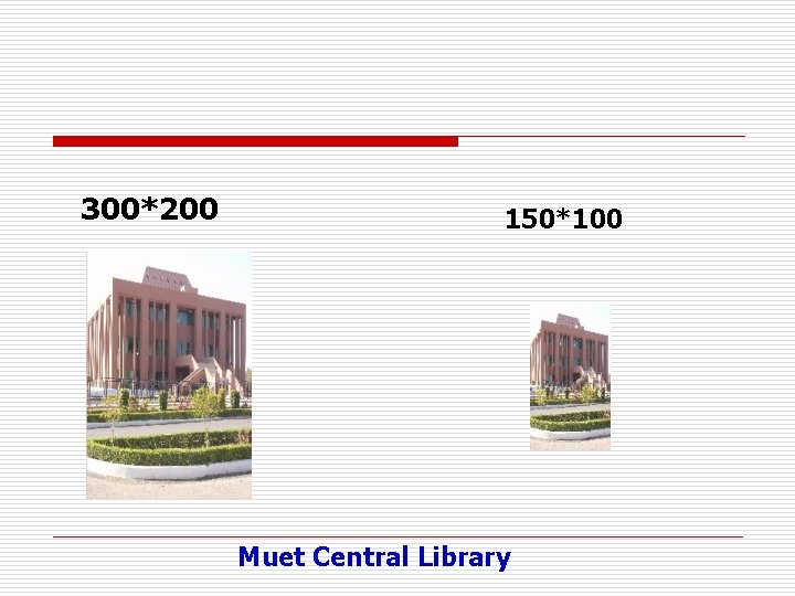 300*200 150*100 Muet Central Library 