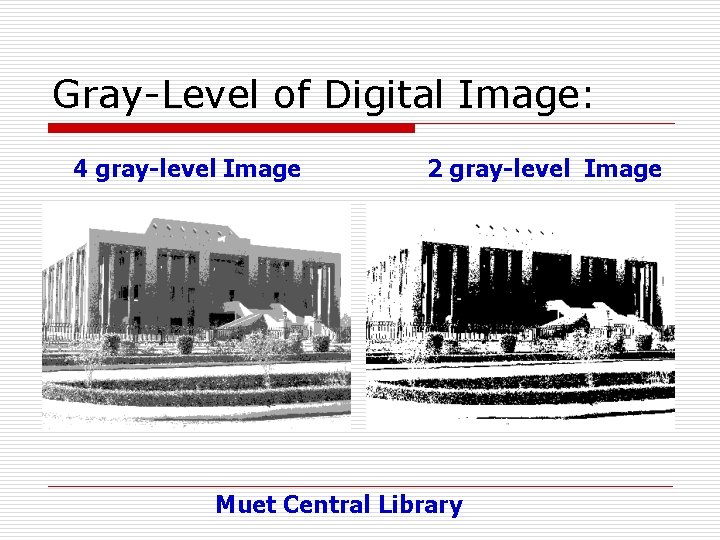 Gray-Level of Digital Image: 4 gray-level Image 2 gray-level Image Muet Central Library 