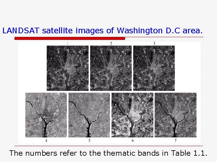 LANDSAT satellite images of Washington D. C area. The numbers refer to thematic bands