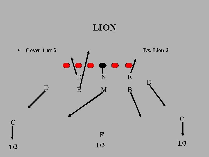 LION • Cover 1 or 3 D Ex. Lion 3 E N E B