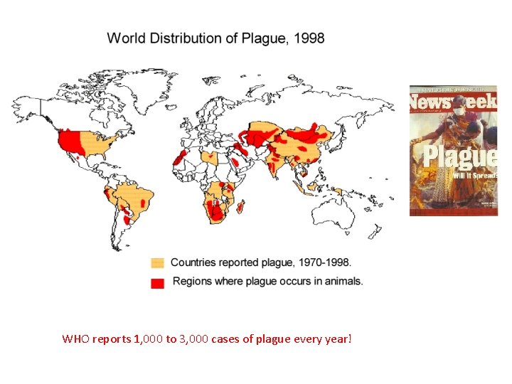 WHO reports 1, 000 to 3, 000 cases of plague every year! 