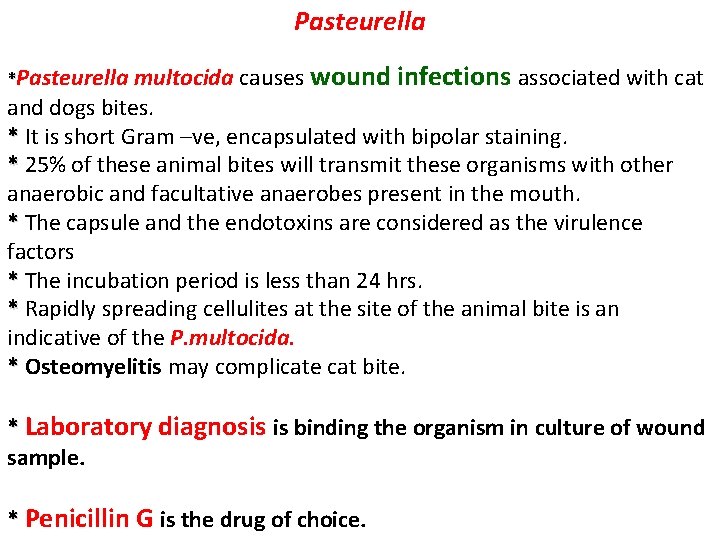 Pasteurella multocida causes wound infections associated with cat and dogs bites. * It is