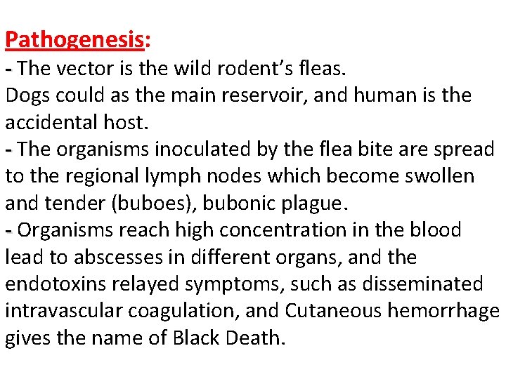 Pathogenesis: - The vector is the wild rodent’s fleas. Dogs could as the main