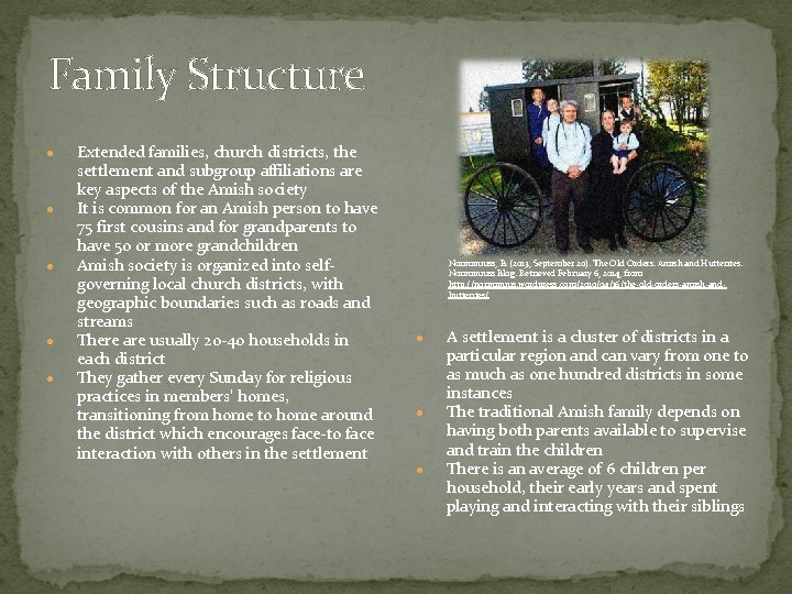 Family Structure Extended families, church districts, the settlement and subgroup affiliations are key aspects