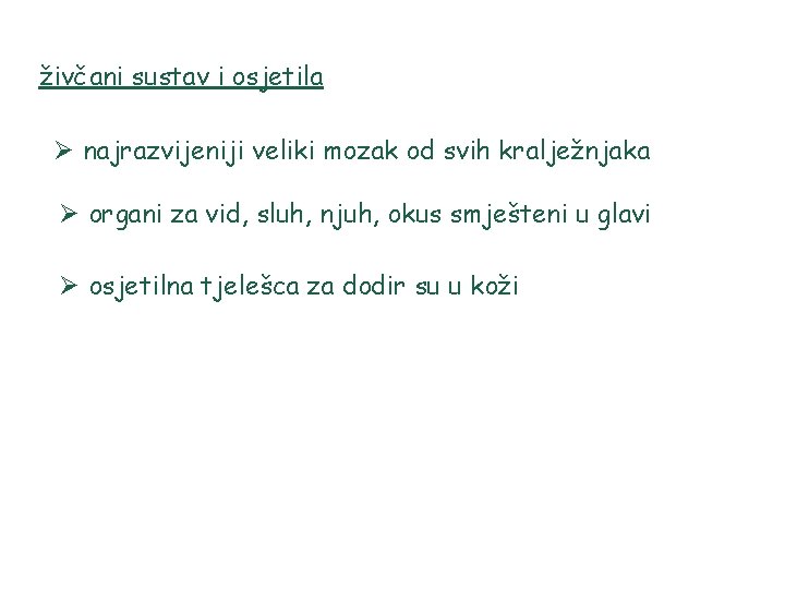 živčani sustav i osjetila Ø najrazvijeniji veliki mozak od svih kralježnjaka Ø organi za