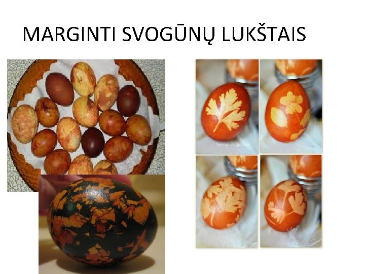 MARGINTI SVOGŪNŲ LUKŠTAIS 