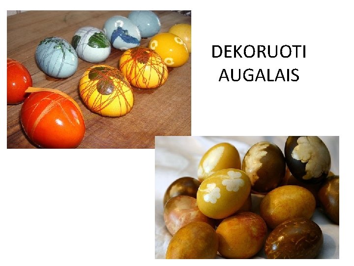 DEKORUOTI AUGALAIS 