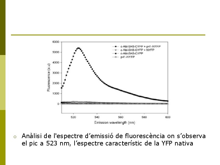 o Anàlisi de l'espectre d’emissió de fluorescència on s’observa el pic a 523 nm,