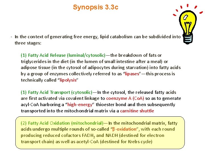 Synopsis 3. 3 c - In the context of generating free energy, lipid catabolism