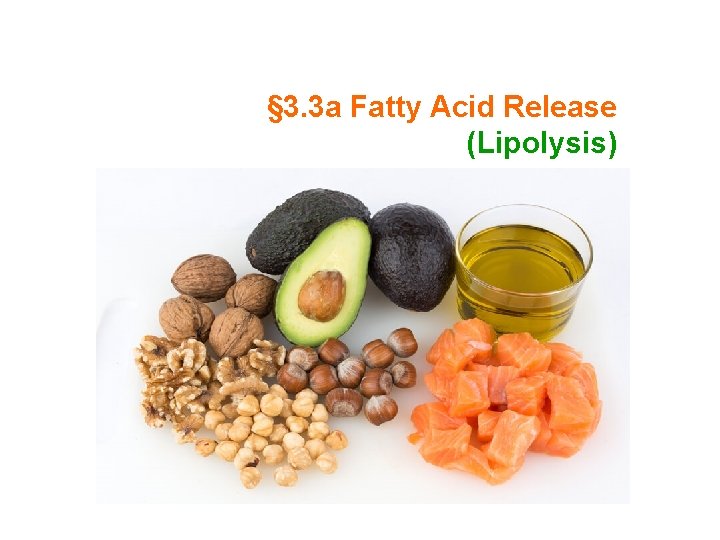 § 3. 3 a Fatty Acid Release (Lipolysis) 