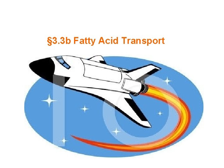 § 3. 3 b Fatty Acid Transport 