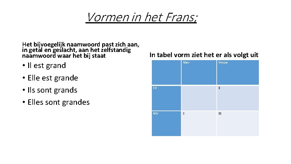 Vormen in het Frans; Het bijvoegelijk naamwoord past zich aan, in getal en geslacht,