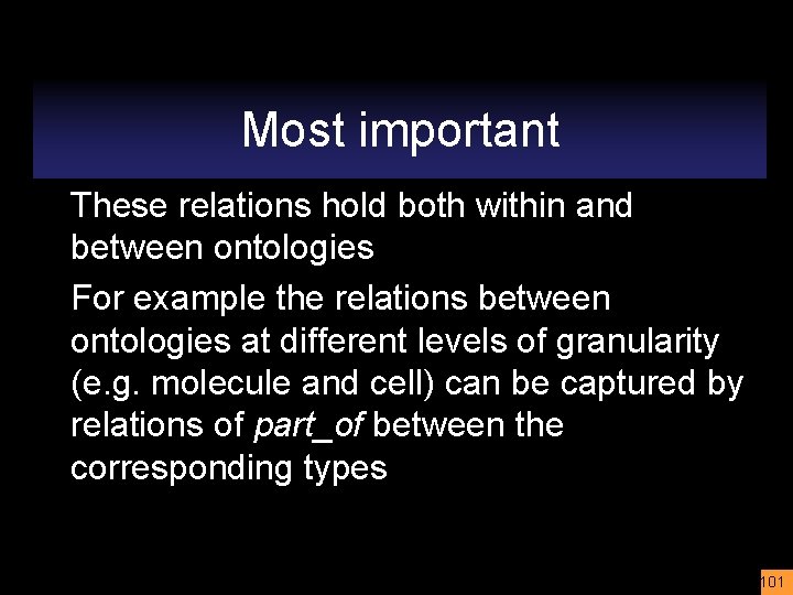 Most important These relations hold both within and between ontologies For example the relations