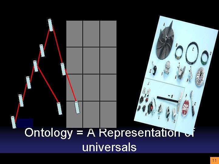 Ontology = A Representation of universals 11 