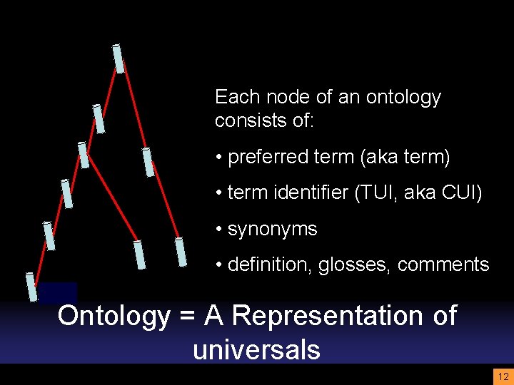 Each node of an ontology consists of: • preferred term (aka term) • term