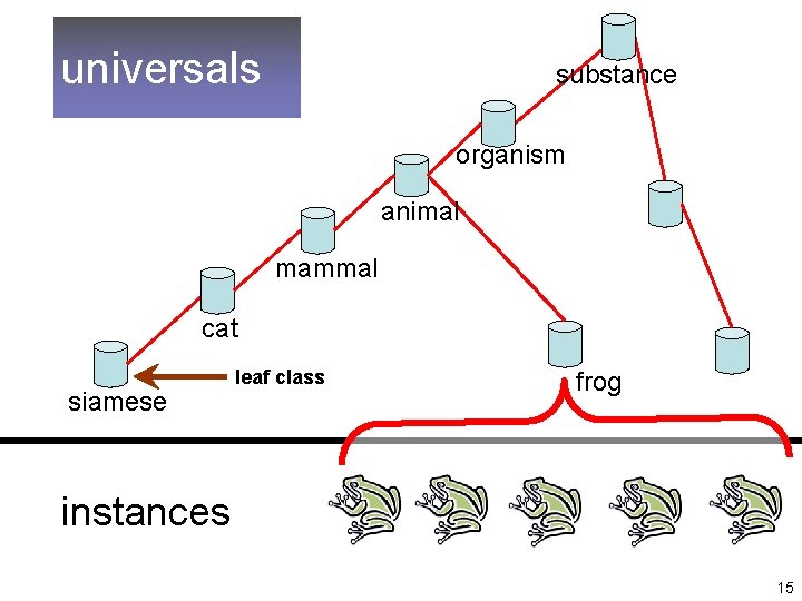 universals substance organism animal mammal cat siamese leaf class frog instances 15 