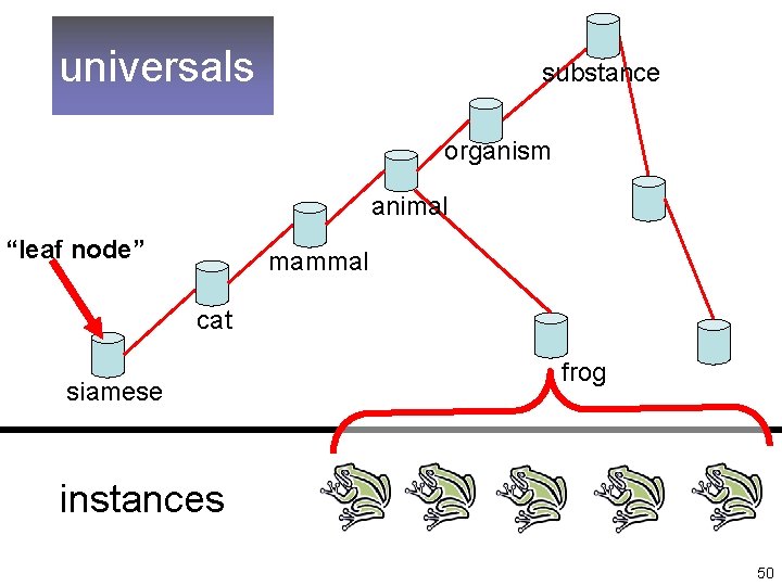 universals substance organism animal “leaf node” mammal cat siamese frog instances 50 