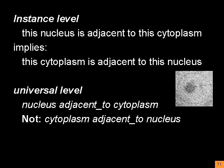 Instance level this nucleus is adjacent to this cytoplasm implies: this cytoplasm is adjacent