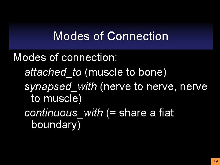 Modes of Connection Modes of connection: attached_to (muscle to bone) synapsed_with (nerve to nerve,