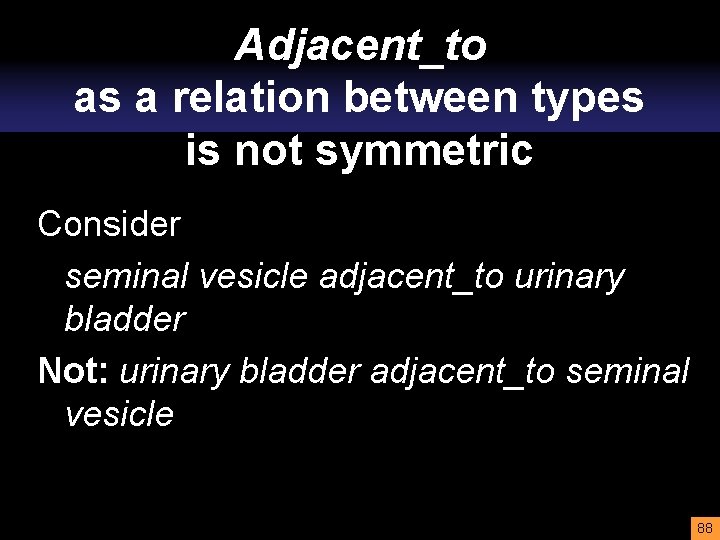 Adjacent_to as a relation between types is not symmetric Consider seminal vesicle adjacent_to urinary