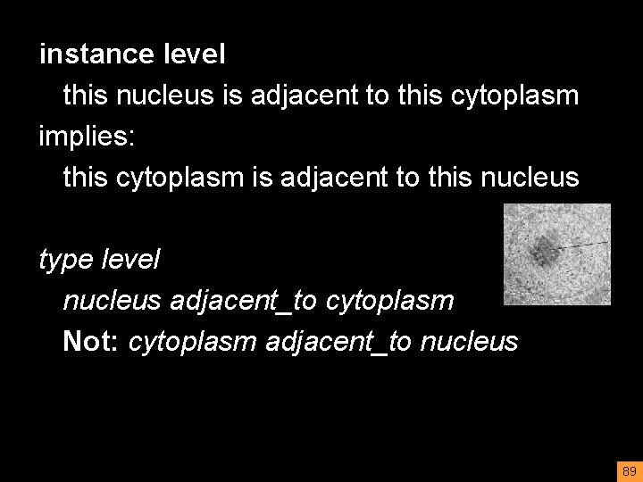 instance level this nucleus is adjacent to this cytoplasm implies: this cytoplasm is adjacent
