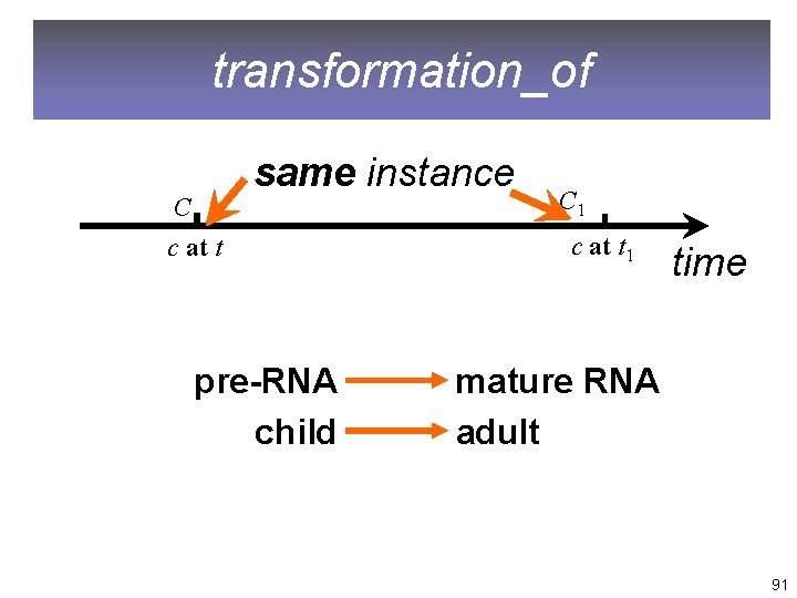 transformation_of same instance C c at t pre-RNA child C 1 c at t
