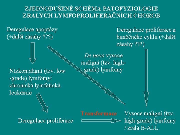 ZJEDNODUŠENÉ SCHÉMA PATOFYZIOLOGIE ZRALÝCH LYMFOPROLIFERAČNÍCH CHOROB Deregulace apoptózy (+další zásahy ? ? ? )