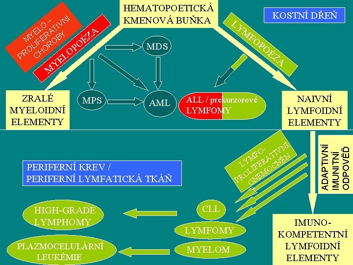 – VNÍ O TI L A YE ERA BY Z M IF O É