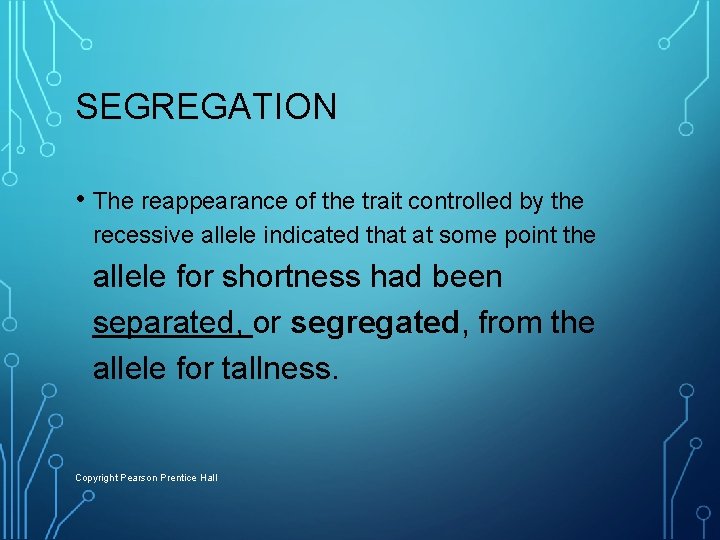 SEGREGATION • The reappearance of the trait controlled by the recessive allele indicated that