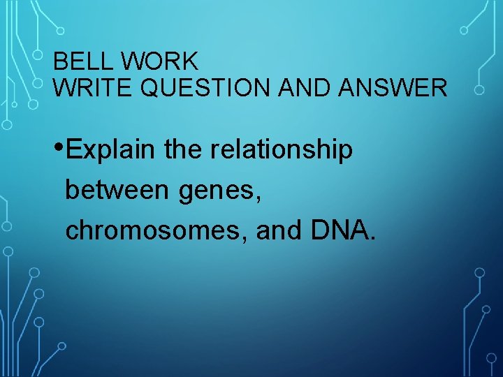 BELL WORK WRITE QUESTION AND ANSWER • Explain the relationship between genes, chromosomes, and