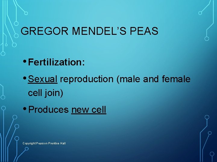 GREGOR MENDEL’S PEAS • Fertilization: • Sexual reproduction (male and female cell join) •