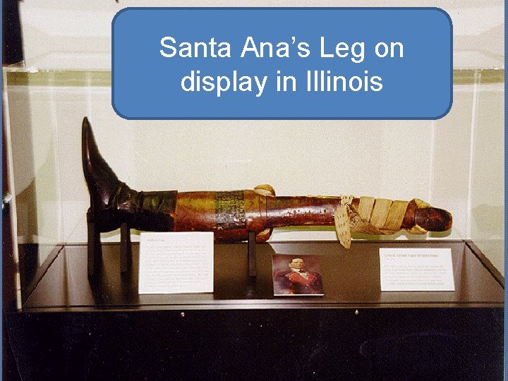 Santa Ana’s Leg on display in Illinois 