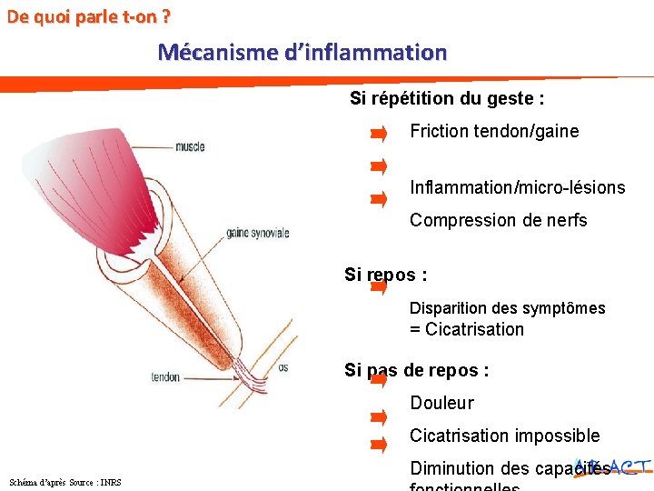 De quoi parle t-on ? Mécanisme d’inflammation Si répétition du geste : Friction tendon/gaine