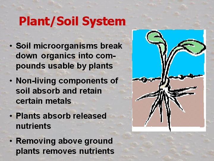 Plant/Soil System • Soil microorganisms break down organics into compounds usable by plants •
