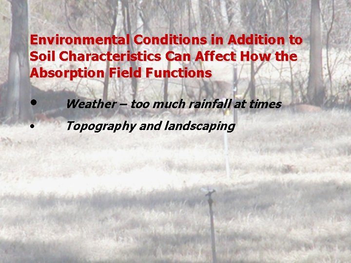 Environmental Conditions in Addition to Soil Characteristics Can Affect How the Absorption Field Functions