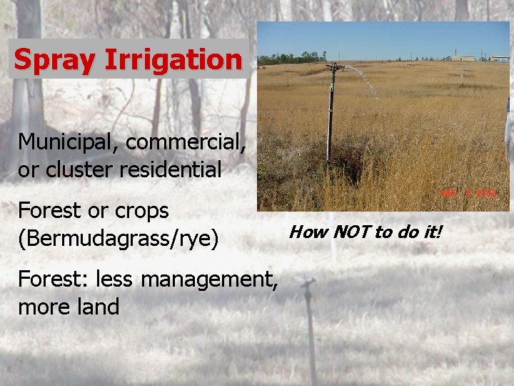 Spray Irrigation Municipal, commercial, or cluster residential Forest or crops (Bermudagrass/rye) Forest: less management,