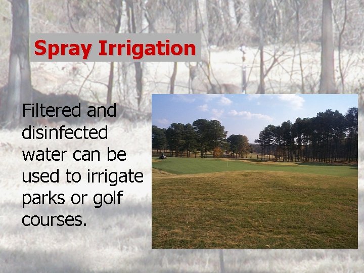 Spray Irrigation Filtered and disinfected water can be used to irrigate parks or golf