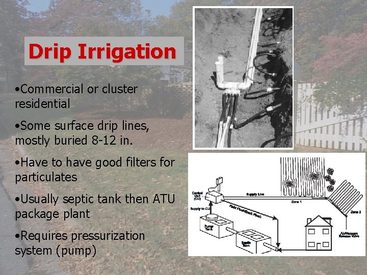 Drip Irrigation • Commercial or cluster residential • Some surface drip lines, mostly buried