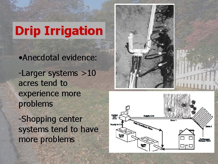 Drip Irrigation • Anecdotal evidence: -Larger systems >10 acres tend to experience more problems
