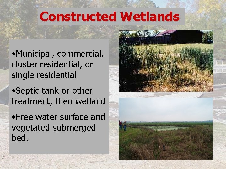 Constructed Wetlands • Municipal, commercial, cluster residential, or single residential • Septic tank or