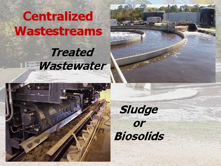 Centralized Wastestreams Treated Wastewater Sludge or Biosolids 