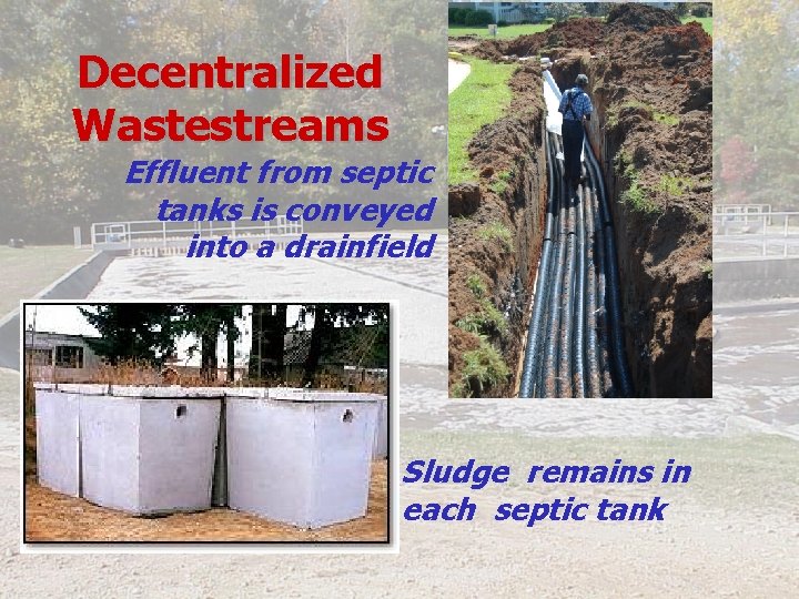 Decentralized Wastestreams Effluent from septic tanks is conveyed into a drainfield Sludge remains in