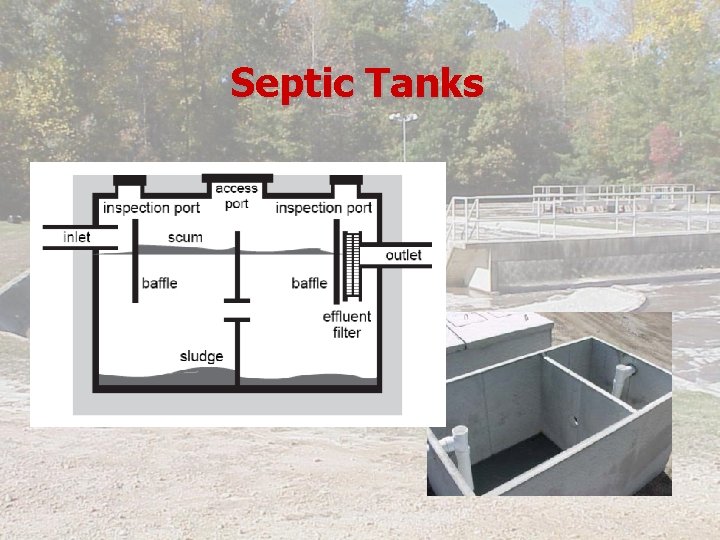 Septic Tanks 