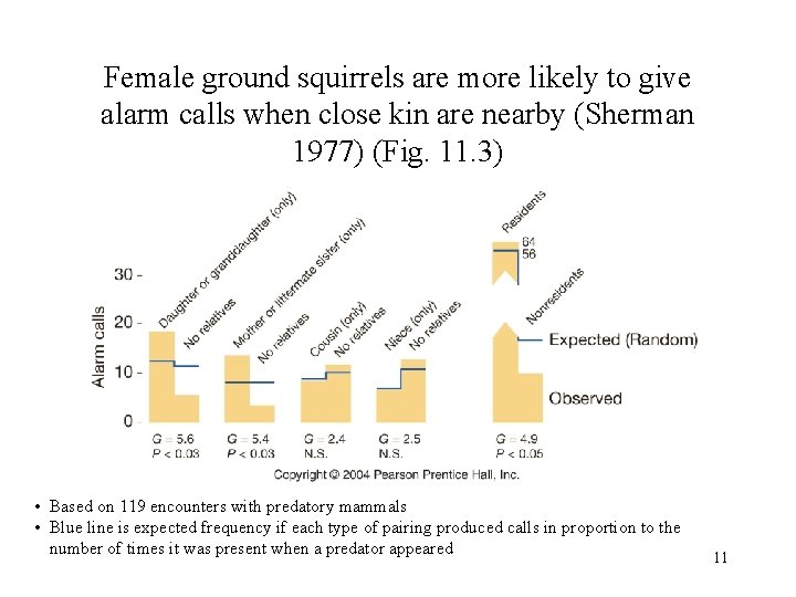 Female ground squirrels are more likely to give alarm calls when close kin are