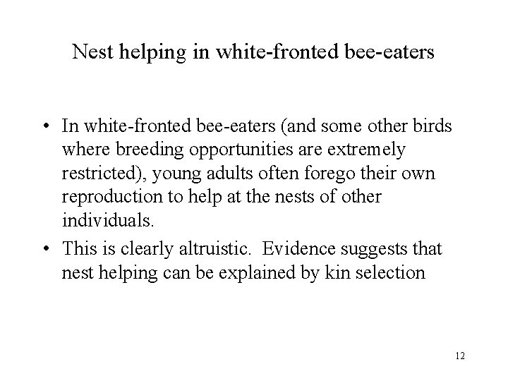 Nest helping in white-fronted bee-eaters • In white-fronted bee-eaters (and some other birds where