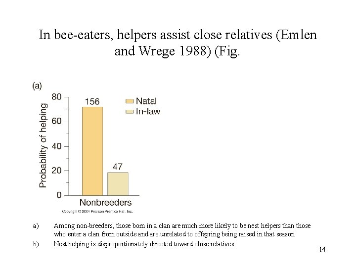 In bee-eaters, helpers assist close relatives (Emlen and Wrege 1988) (Fig. a) b) Among