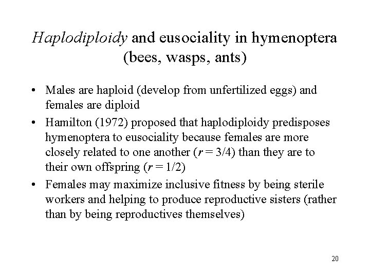 Haplodiploidy and eusociality in hymenoptera (bees, wasps, ants) • Males are haploid (develop from