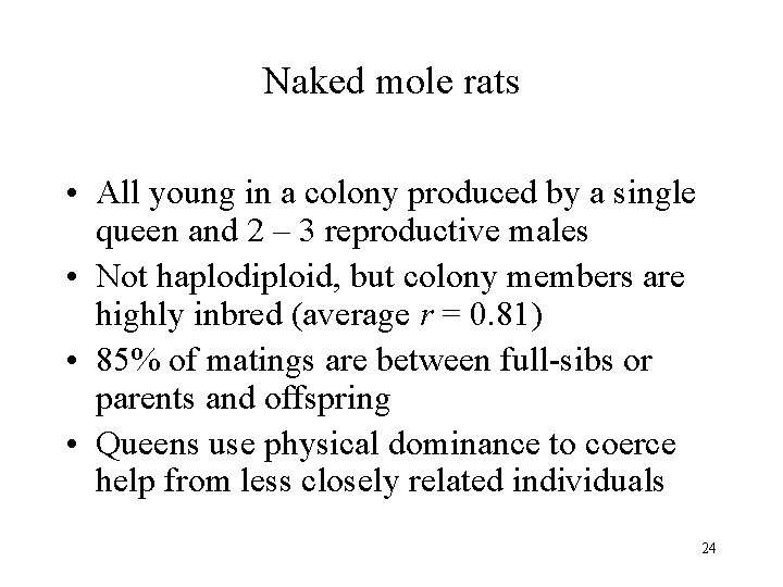 Naked mole rats • All young in a colony produced by a single queen